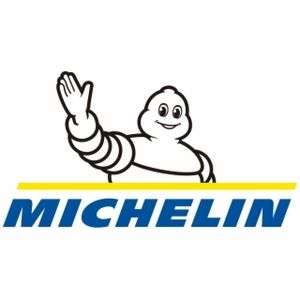 Las mejores cadenas de nieve Michelin