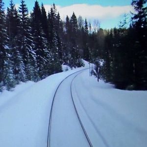 Lee más sobre el artículo ¿Cuánto tiempo se puede conducir con cadenas de nieve?